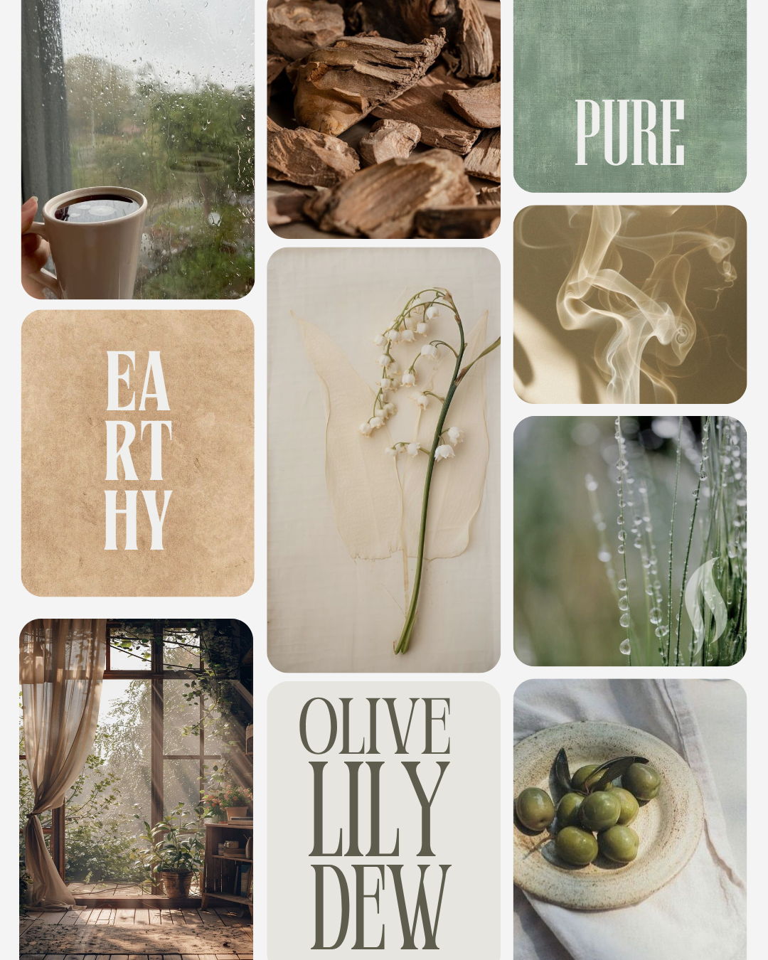 Olive Lily Dew - 6oz