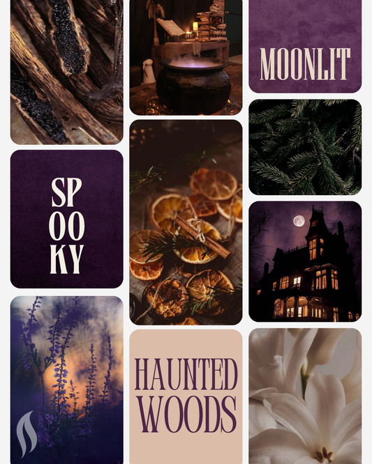 Holiday Collection - Haunted Woods 8oz